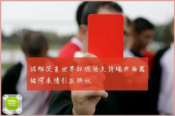 诺维茨基世界杯现场支持瑞典面露错愕表情引发热议